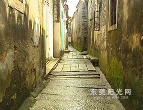 �˿�ǧ���ַ���Ƶ�������������簲ȫ����Ϣ���쵼С��...