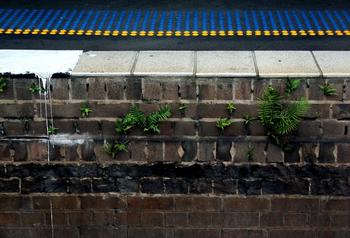 �����˿��Ʊ�������Ƶ���й�����½�����ƾ��� ������ʮ����ս��Ա...